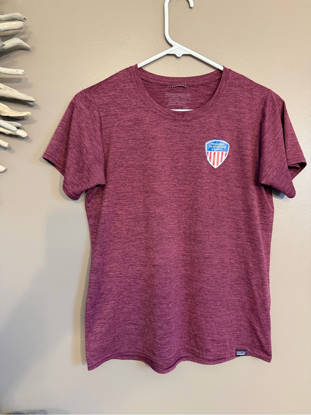 Patagonia tee